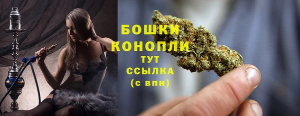 ешки Белокуриха