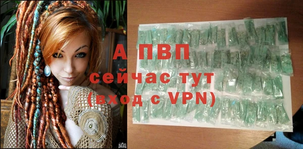 ешки Белокуриха