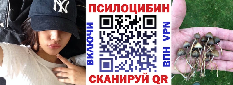 где купить наркоту  даркнет официальный сайт  Псилоцибиновые грибы ЛСД  Цоци-Юрт 
